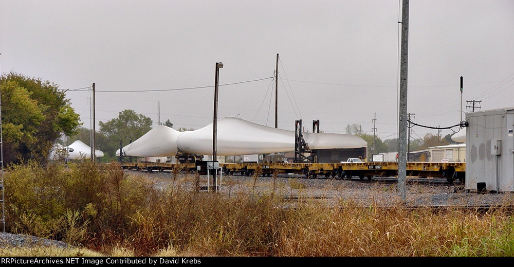 "Whale train"